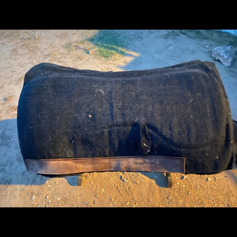 Classic equine saddle pad